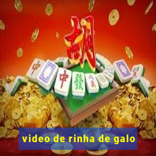 video de rinha de galo